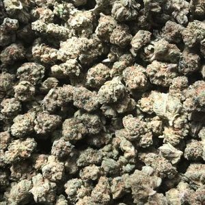 Meet your Posher, Vincent